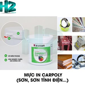 MỰC IN CARPOLY (SƠN, SƠN TĨNH ĐIỆN...)